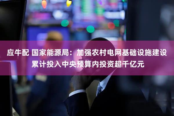 应牛配 国家能源局：加强农村电网基础设施建设 累计投入中央预算内投资超千亿元