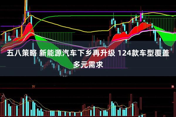 五八策略 新能源汽车下乡再升级 124款车型覆盖多元需求