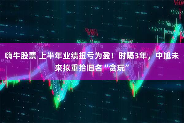 嗨牛股票 上半年业绩扭亏为盈！时隔3年，中旭未来拟重拾旧名“贪玩”