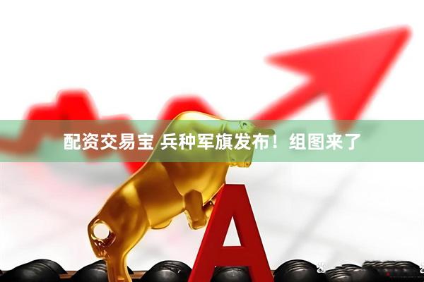 配资交易宝 兵种军旗发布！组图来了