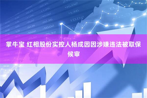 掌牛宝 红相股份实控人杨成因因涉嫌违法被取保候审