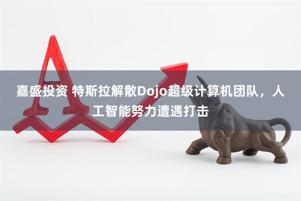 嘉盛投资 特斯拉解散Dojo超级计算机团队，人工智能努力遭遇打击