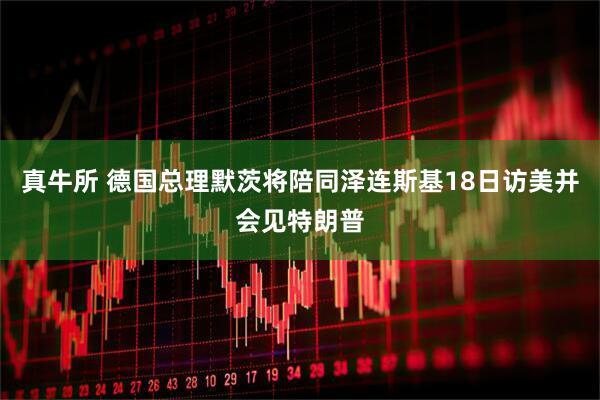 真牛所 德国总理默茨将陪同泽连斯基18日访美并会见特朗普