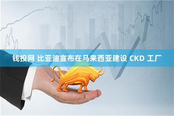 钱投网 比亚迪宣布在马来西亚建设 CKD 工厂