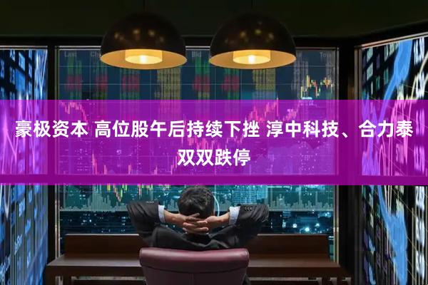 豪极资本 高位股午后持续下挫 淳中科技、合力泰双双跌停