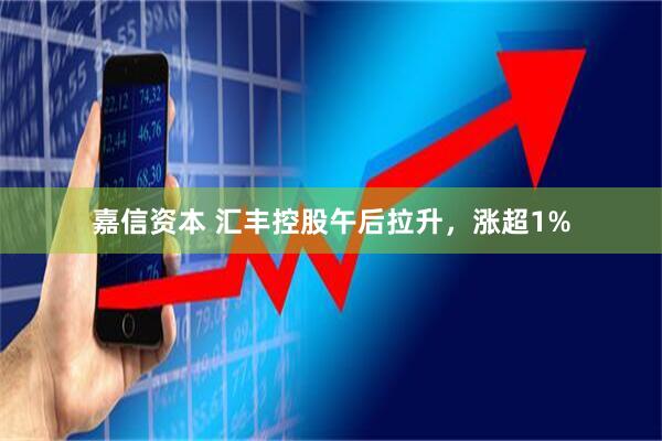 嘉信资本 汇丰控股午后拉升，涨超1%